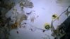 WP_20160120_21_55_50_Pro.jpg
