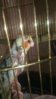 WP_20160120_21_19_05_Pro.jpg