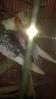WP_20160120_21_53_50_Pro.jpg