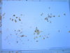 DSCN6968.JPG