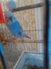 IMG_20160123_152733.jpg