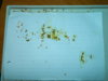 DSCN6987.JPG