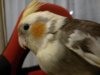 IMG_20160126_184549.jpg