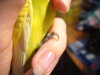 DSC07956.JPG