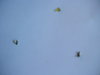 DSC07961.JPG