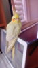 20190422_154100_HDR.jpg