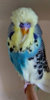 0 IMG_20190429_113722.jpg