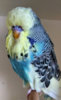 0 IMG_20190429_115238.jpg