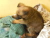 DSCN4685.JPG
