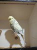 IMG_20190411_200728.jpg