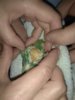 IMG_20190618_223653.jpg