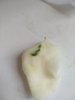 IMG_20190626_100509.jpg