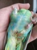 IMG_20190627_093822.jpg