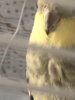 5471FF94-5DD6-4940-B464-BC8B3C89202B.jpeg