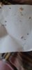 20190709_100647.jpg