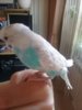IMG-20190714-WA0001.jpg
