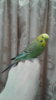 20190718_124222.jpg