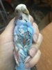 2019-07-26 09.38.07.jpg