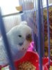IMG_20190728_125815.jpg