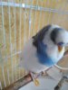 IMG_20190805_105333.jpg