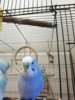 IMG_20190809_150651.jpg