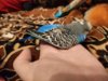 IMG_20190809_200446.jpg