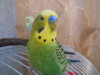 DSCN1595.JPG