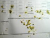 DSCN7068.JPG