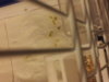 20160205_213644.jpg
