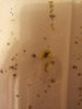20160206_235352.jpg