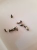20191017_080854.jpg