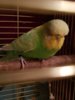 20191017_224427.jpg