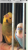 10250583-4F64-472D-B77B-2D6175A768D6.png
