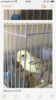 87212E4D-2D05-4A0B-AA01-C3DC85D08988.png