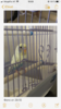 0150CD62-6B87-449F-9B27-EF6091036648.png