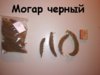 IMG_20191014_190346.jpg