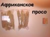 IMG_20191014_190553.jpg