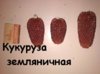 IMG_20191014_191022.jpg