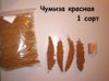 IMG_20191014_191107.jpg