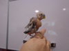 DSC03808.JPG