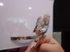 DSC03809.JPG