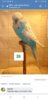 Screenshot_20191124-165220_Chrome.jpg