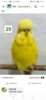 Screenshot_20191124_163315_com.facebook.katana.jpg