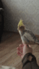 20191129_143742.gif