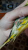 20191206_135253.jpg
