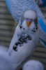 _MG_7813-8.jpg