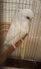 20191118_084213.jpg