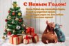 EA74C871-07B5-4CDF-99EB-CC08383FE21C.jpeg