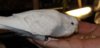 DSCF4197.JPG
