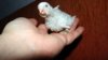 DSC01197.JPG